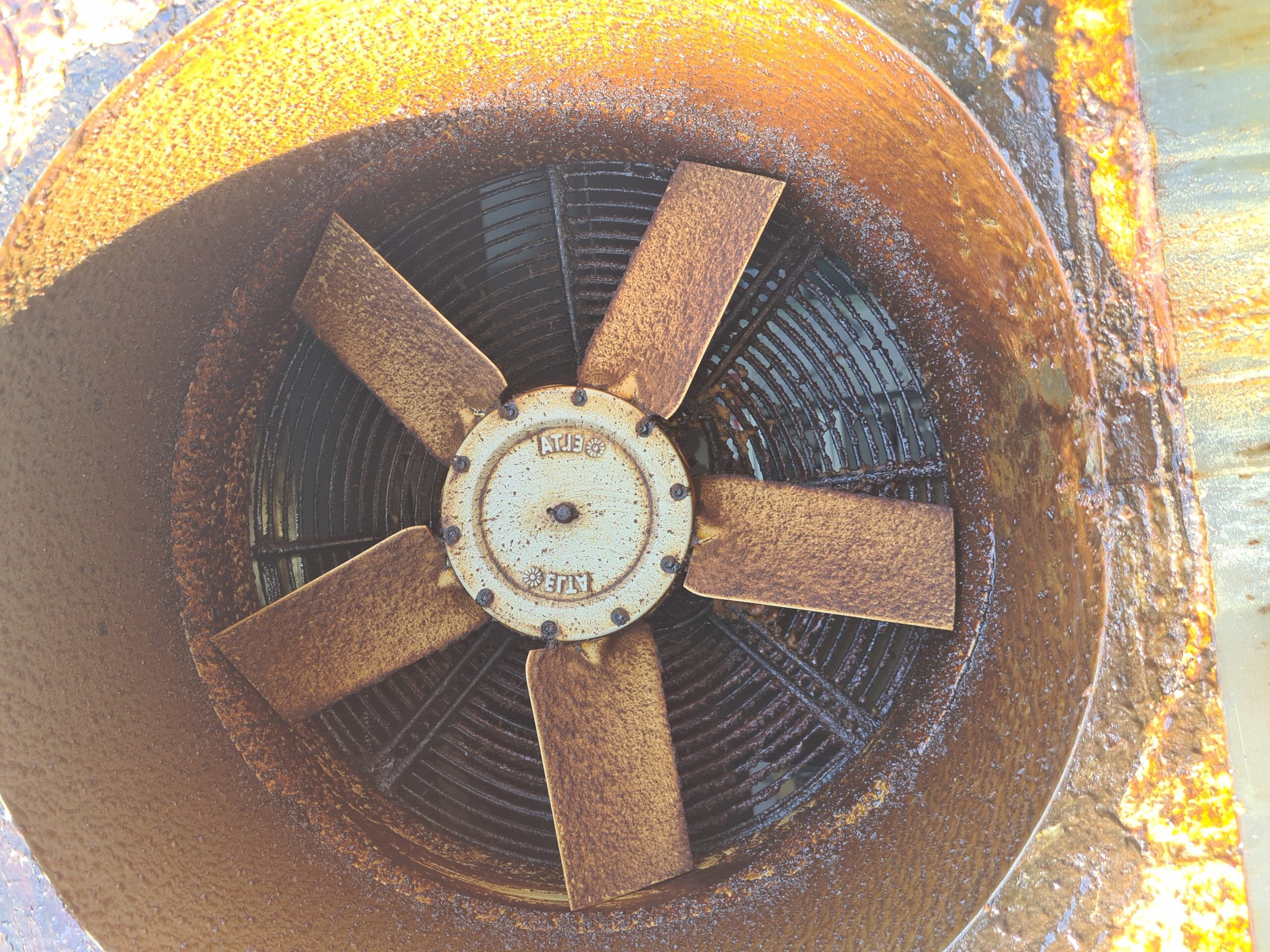 Before Fan Before Fan